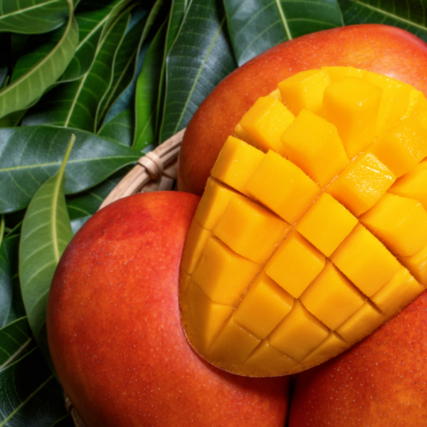Mango seed butter